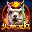 Www.yaxin338.net